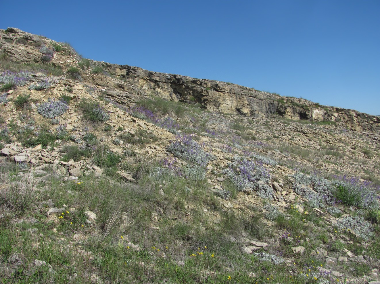 Леваши, image of landscape/habitat.