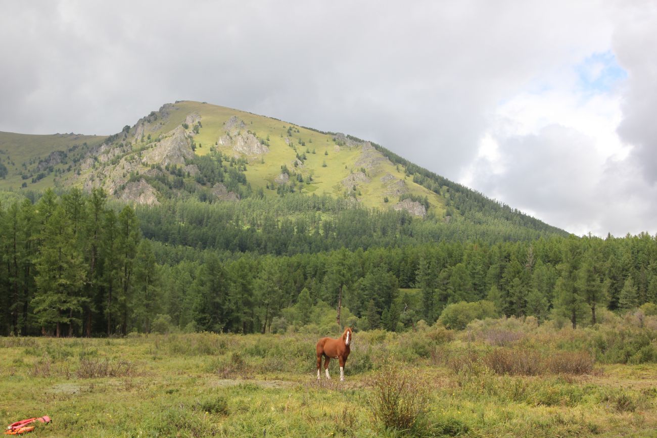 Долина реки Мульта, image of landscape/habitat.