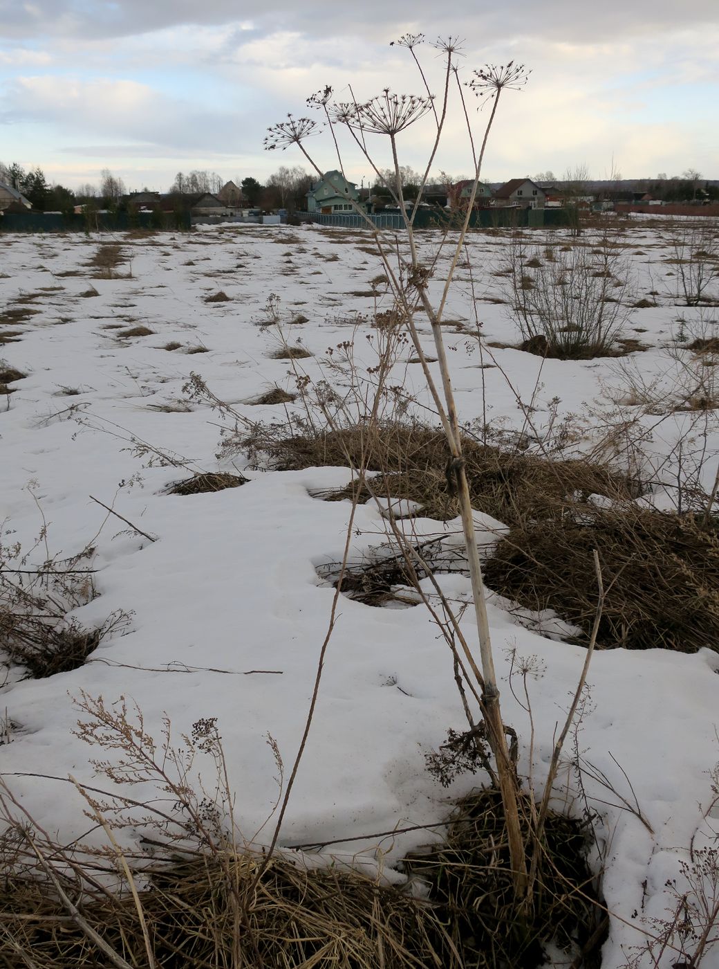 Ерденево, image of landscape/habitat.