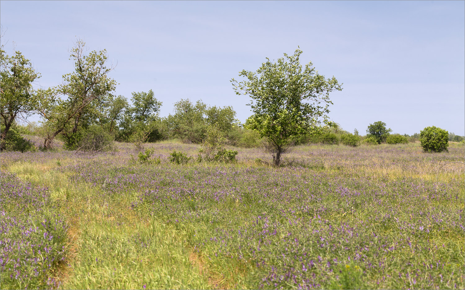 Вилтов, image of landscape/habitat.