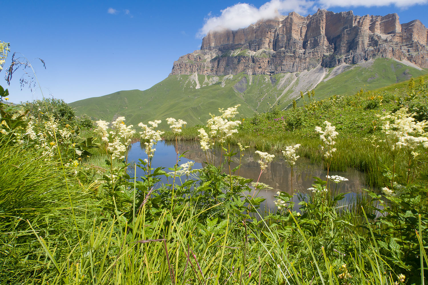 Озеро на склоне Айдарука-Цырт, image of landscape/habitat.