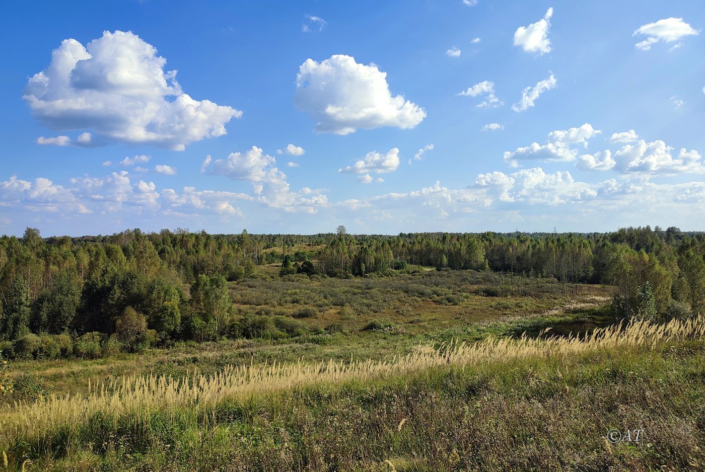 Верховья Каспли, image of landscape/habitat.