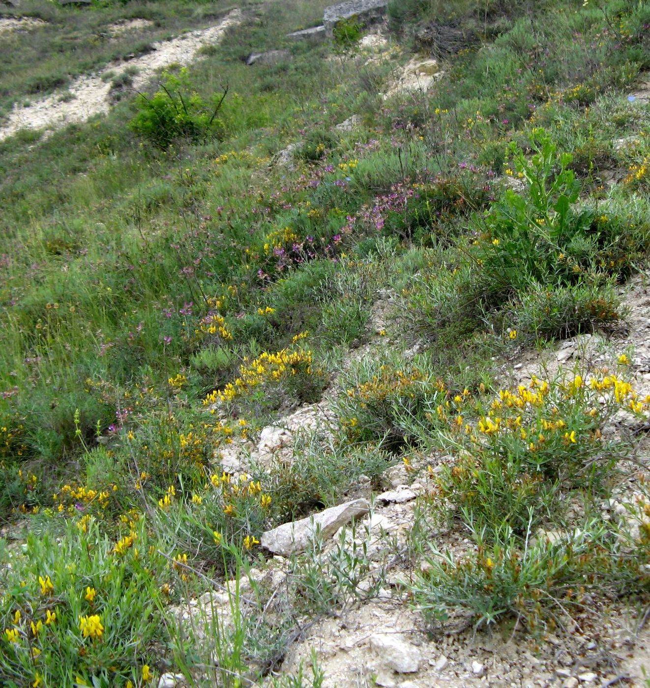 Машкэуць, image of landscape/habitat.