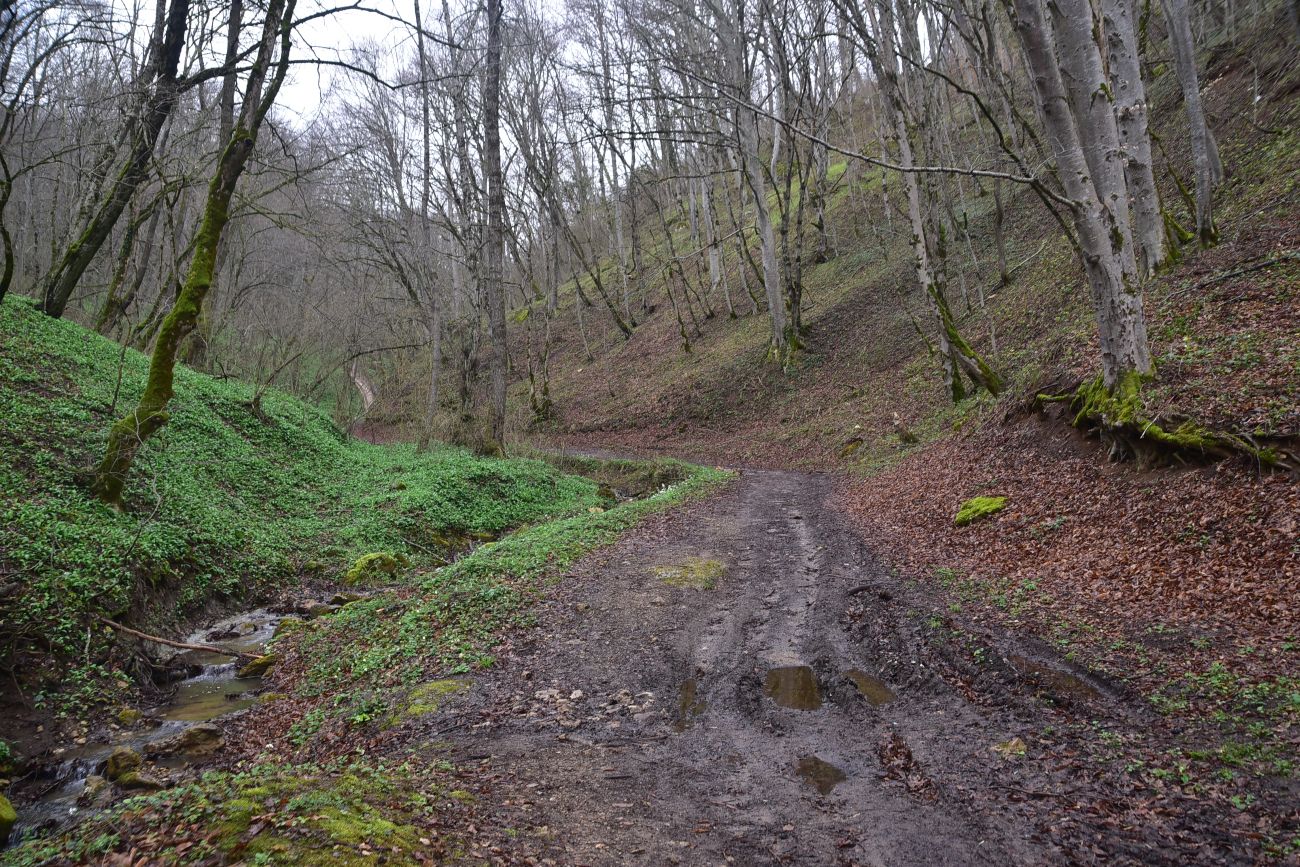 Ущелье Холодного ручья, изображение ландшафта.