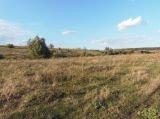 Image of landscape