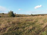 Балка Партизанская, image of landscape/habitat.