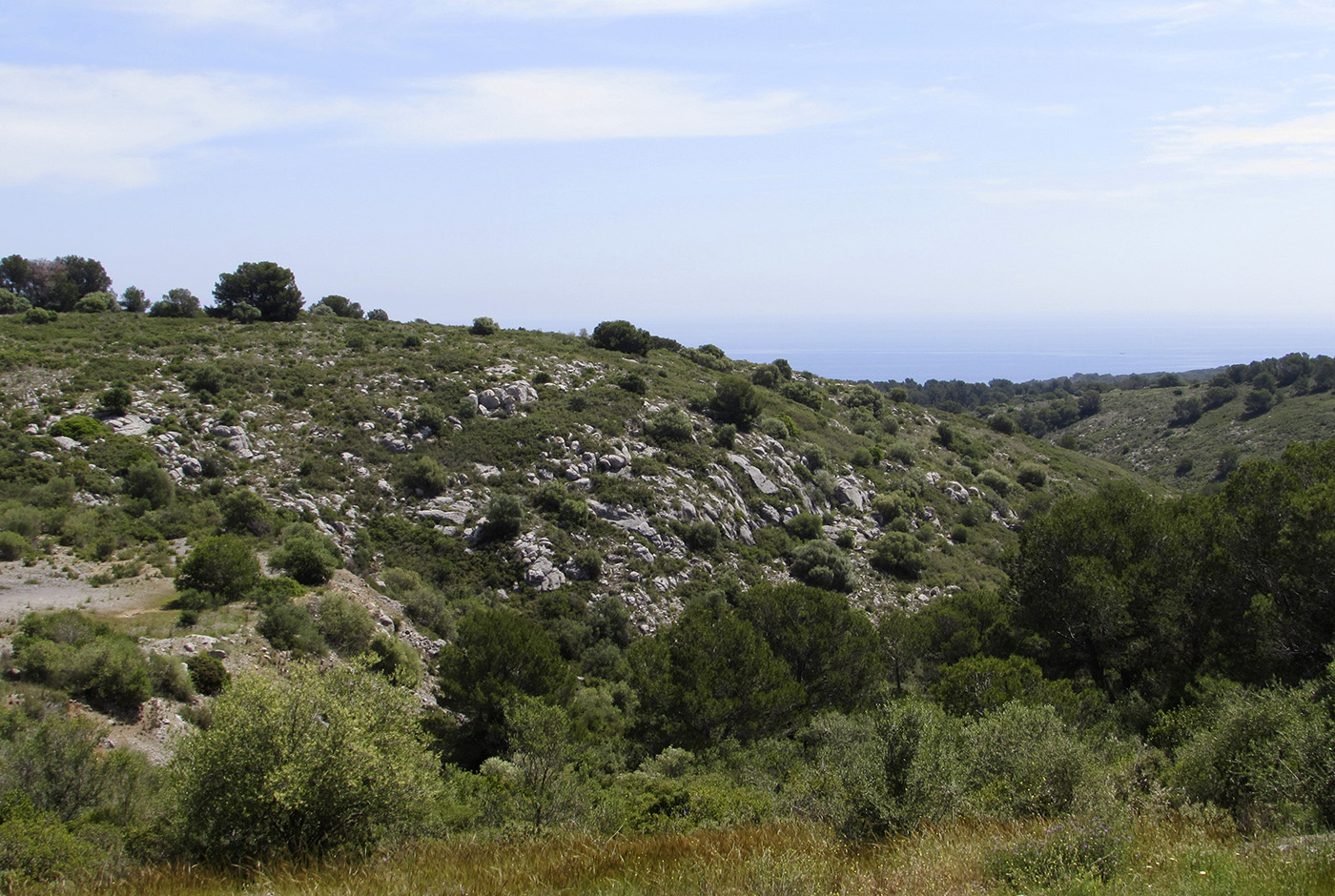 Горный массив Монгри, image of landscape/habitat.