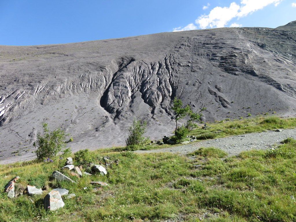 Долина реки Ярлу, image of landscape/habitat.