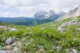 Южный склон горы Гузерипль, image of landscape/habitat.