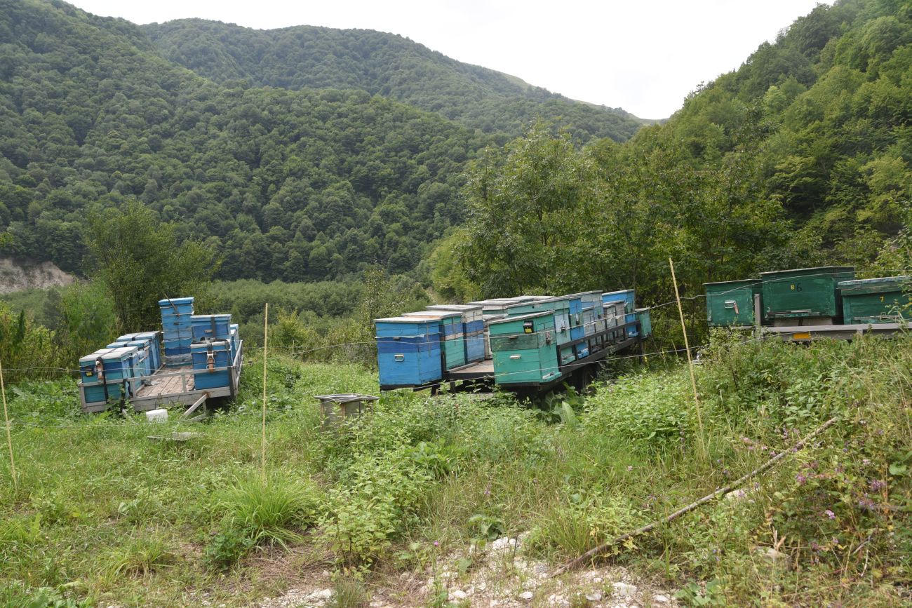 Окрестности Кенсой, image of landscape/habitat.