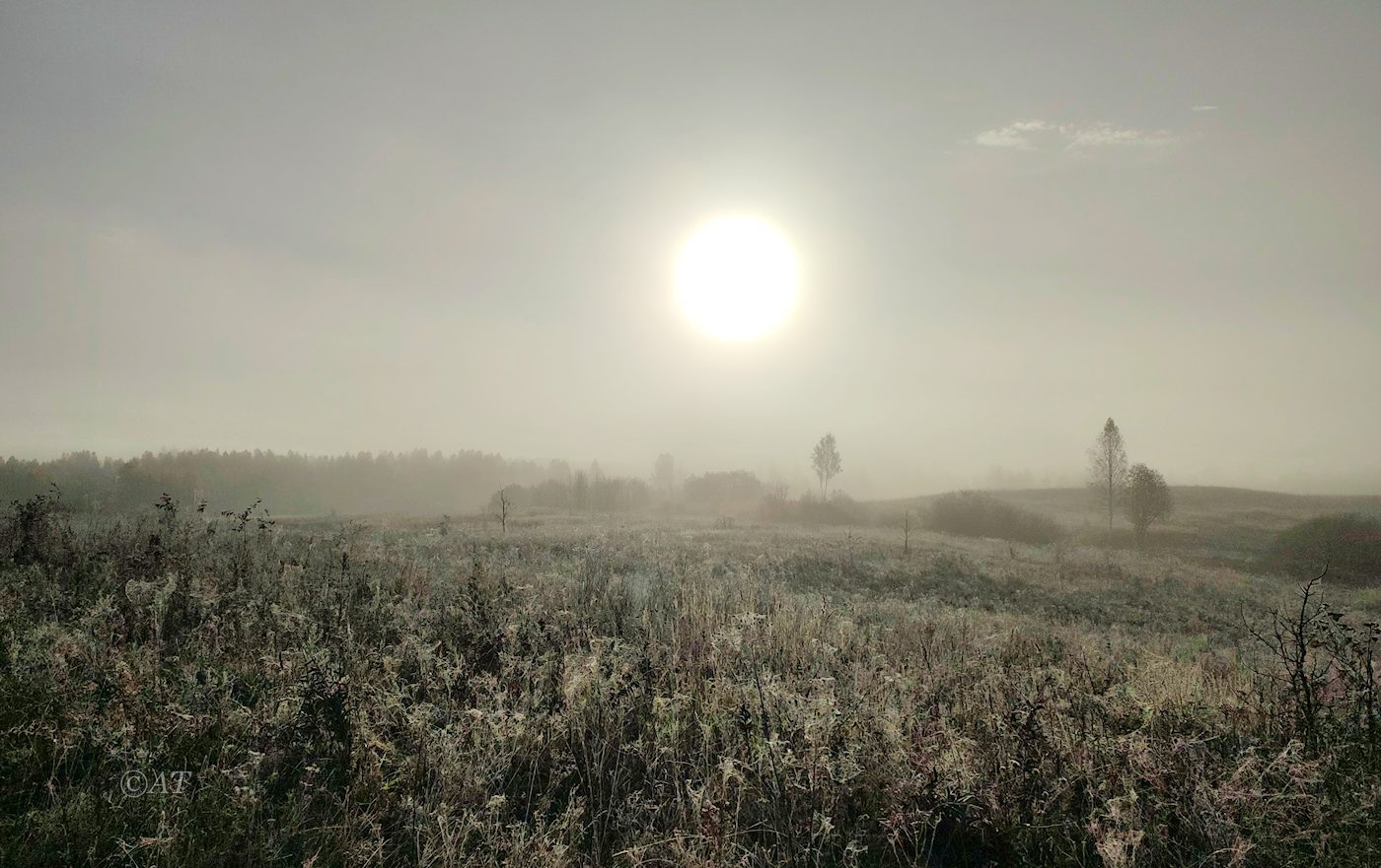 Верховья Каспли, image of landscape/habitat.