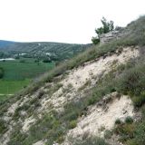 Image of landscape