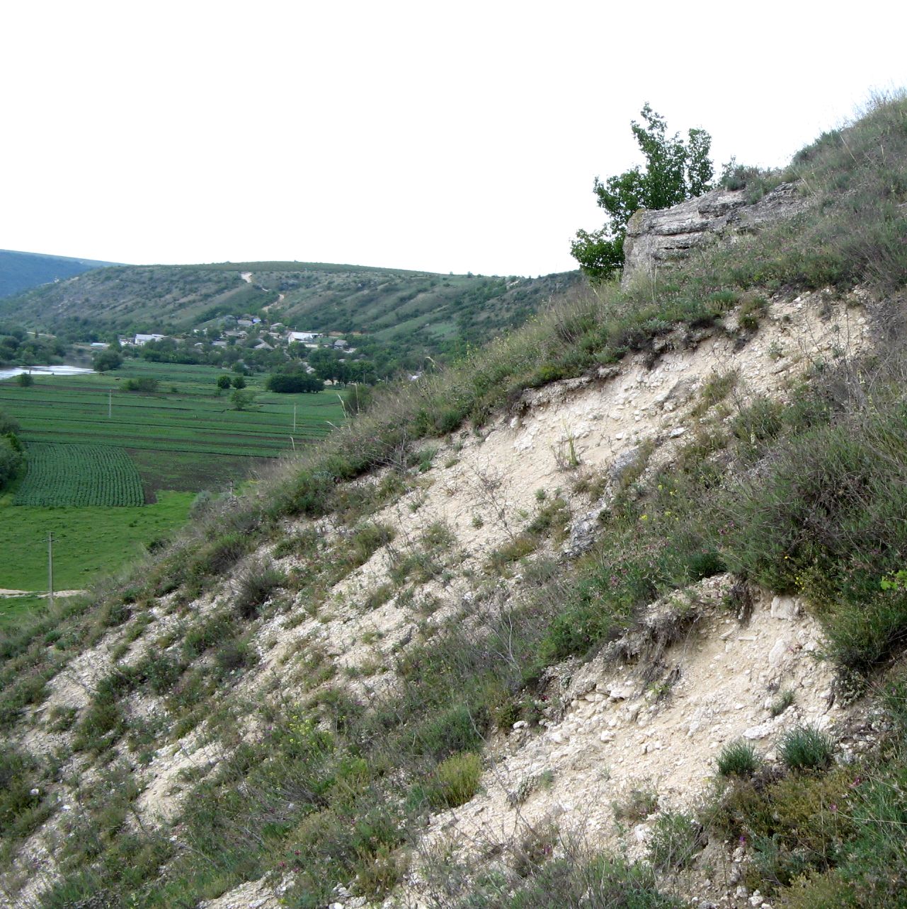 Машкэуць, image of landscape/habitat.