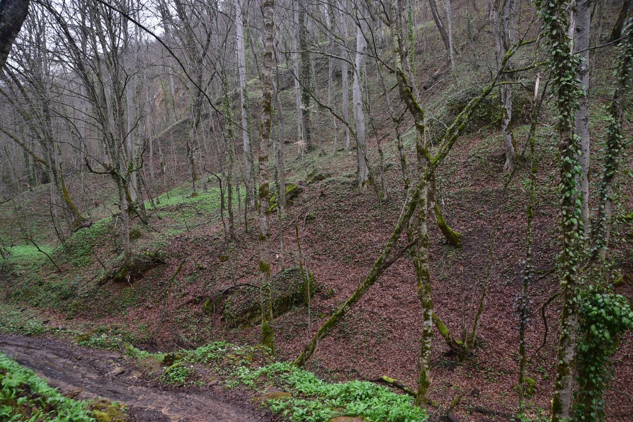 Ущелье Холодного ручья, изображение ландшафта.