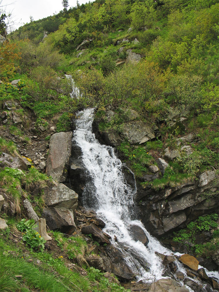 Высокогорья Черногоры, image of landscape/habitat.