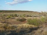 Балка Партизанская, image of landscape/habitat.