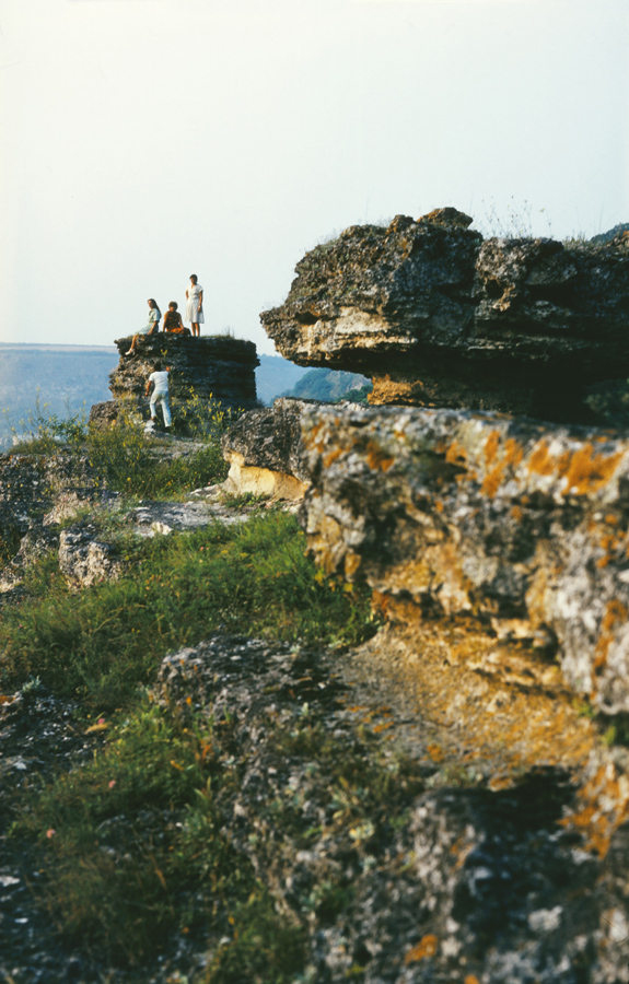 У села Рашков, image of landscape/habitat.