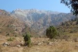 Image of landscape