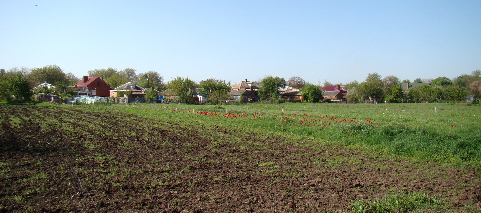 Станица Воронежская, image of landscape/habitat.