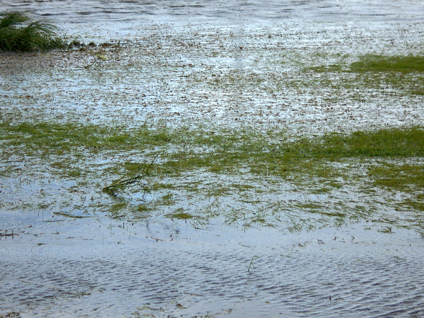 Лабытнанги, image of landscape/habitat.