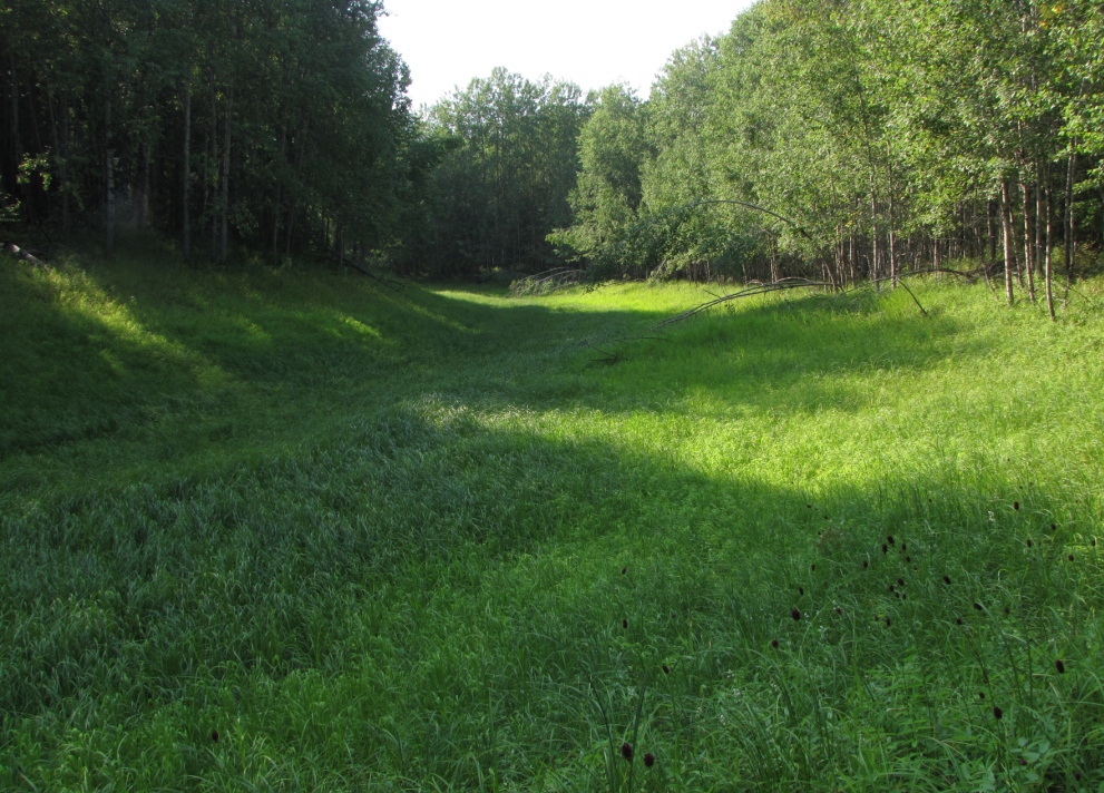 Окрестности Ларино, image of landscape/habitat.