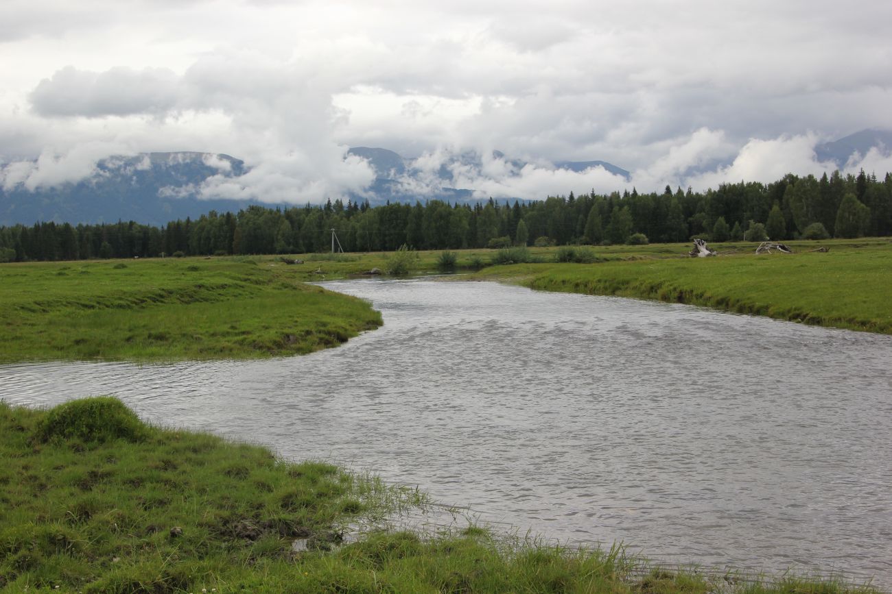 Окрестности села Верх-Уймон, image of landscape/habitat.