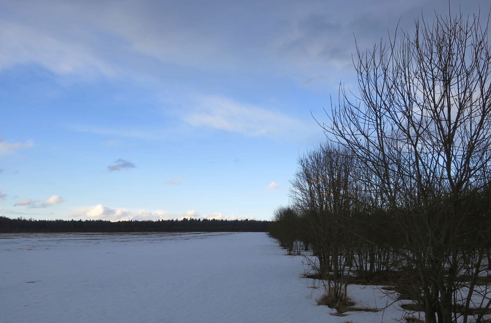 Ерденево, image of landscape/habitat.