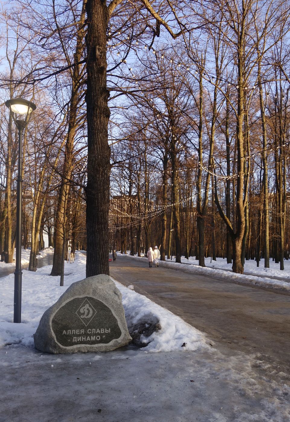 Парк "Динамо", image of landscape/habitat.