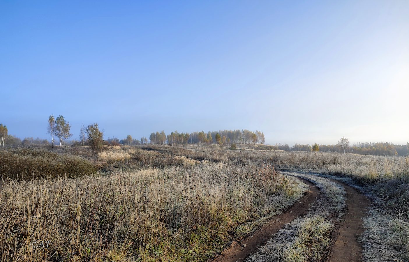 Верховья Каспли, image of landscape/habitat.