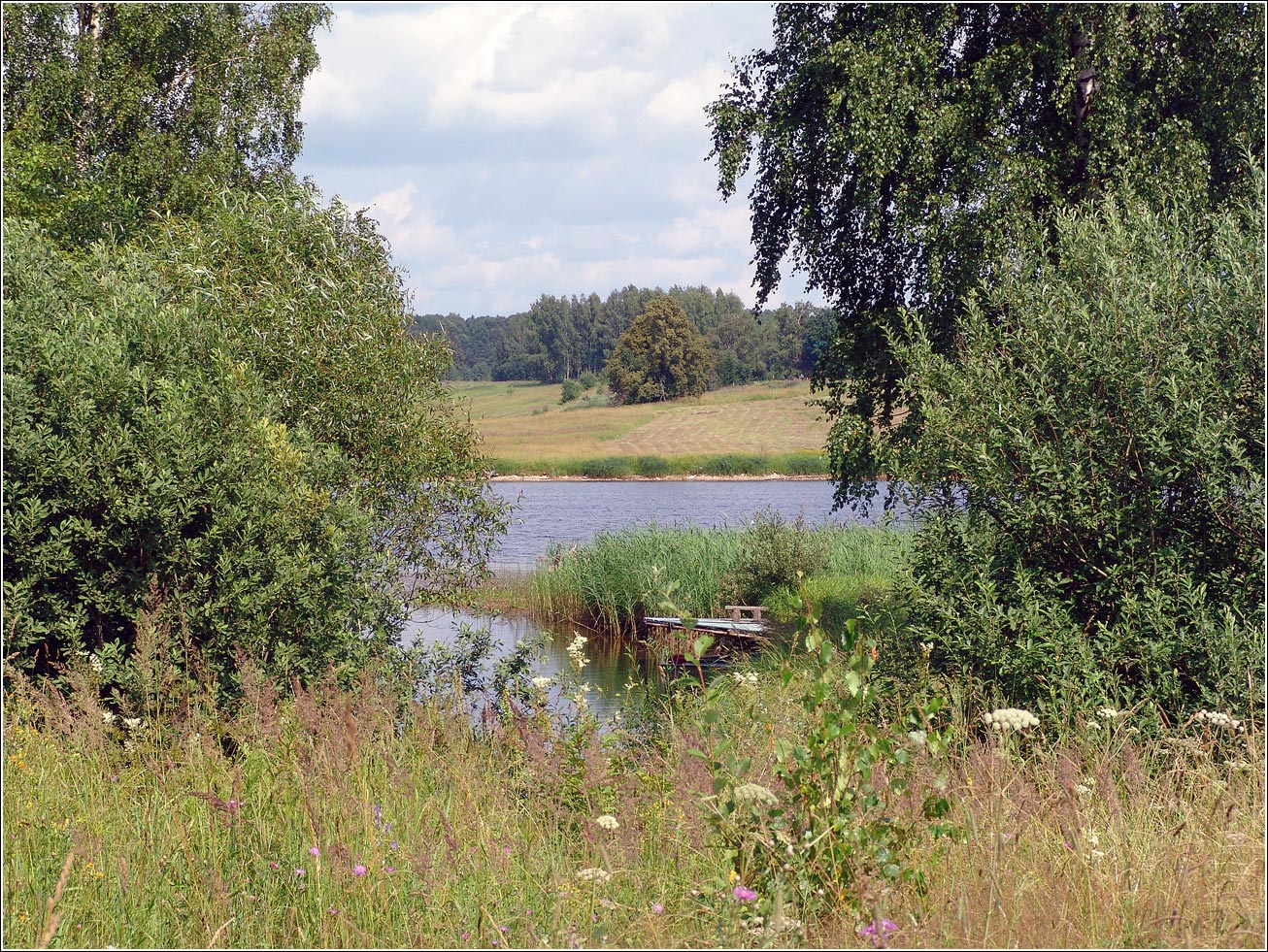 Вазуза, image of landscape/habitat.