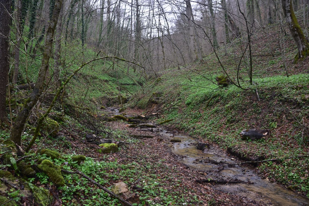 Ущелье Холодного ручья, изображение ландшафта.