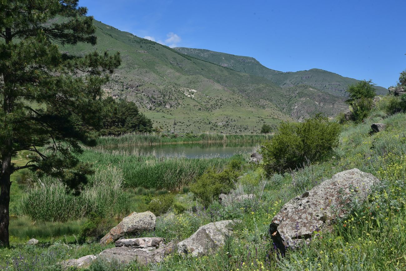 Озеро Цунда, image of landscape/habitat.