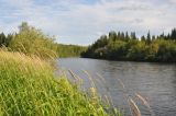 Долина реки Ыджыд-Ляга, image of landscape/habitat.