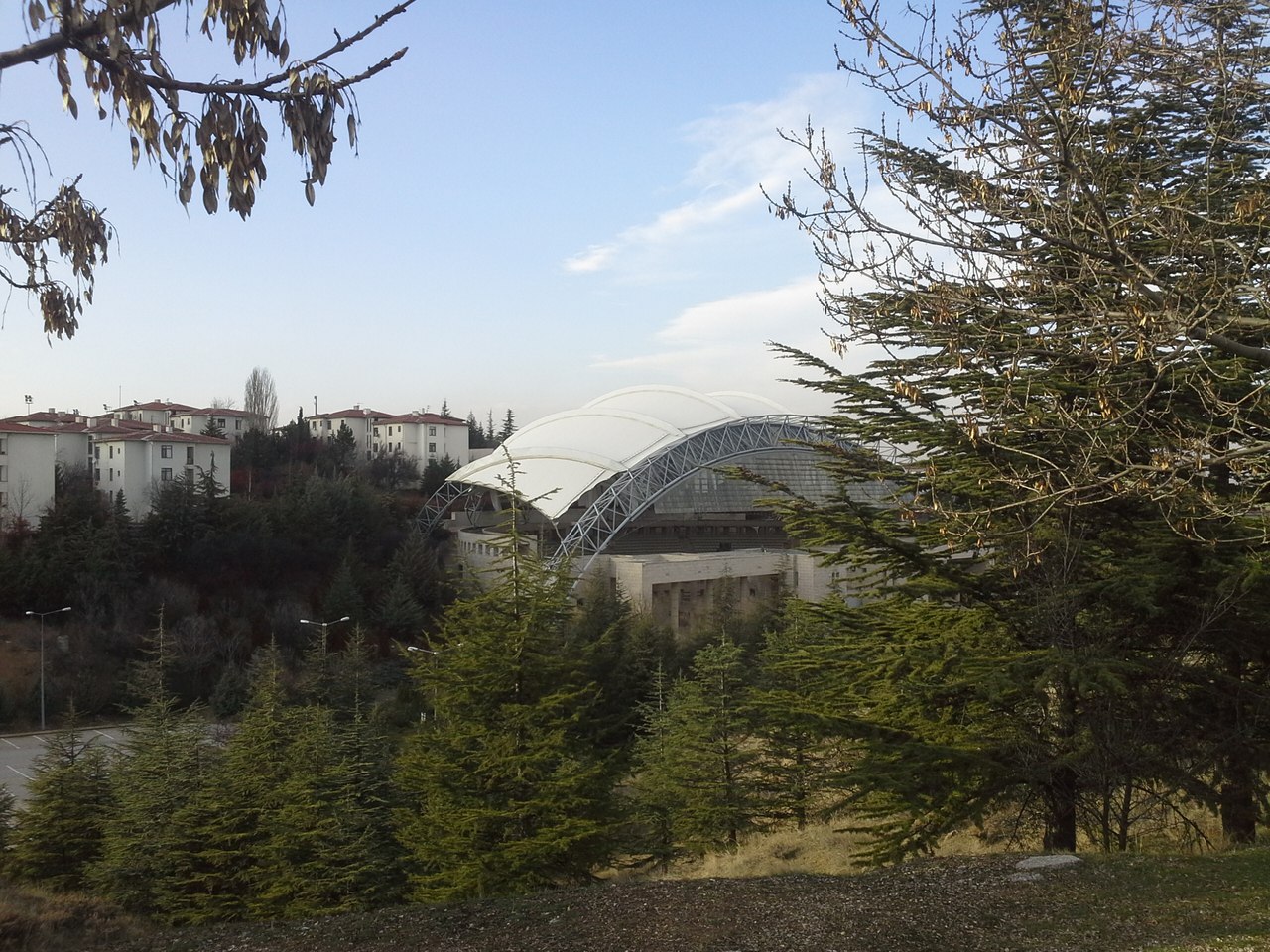 Bilkent University, image of landscape/habitat.