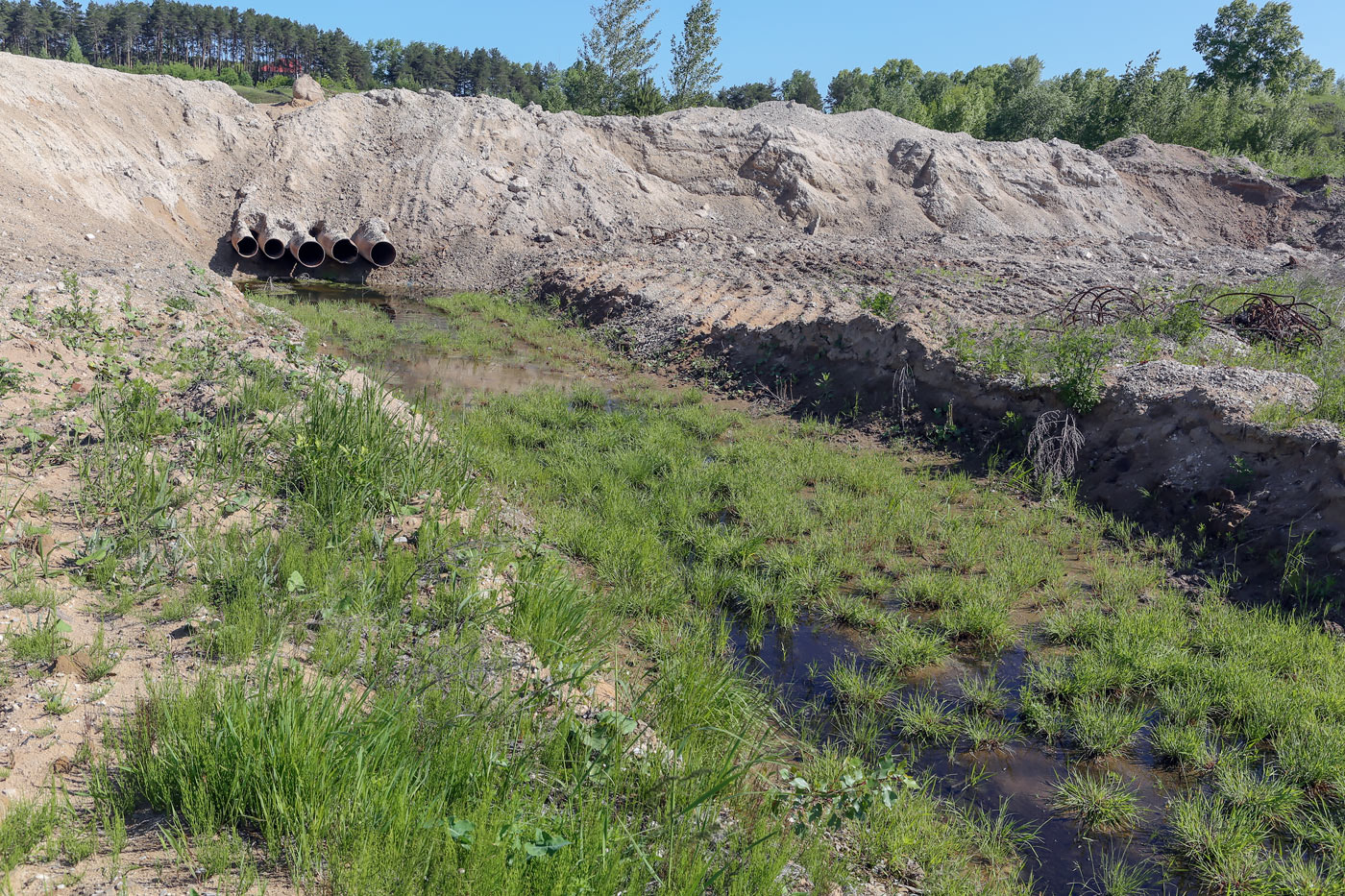 Песчаный карьер, image of landscape/habitat.