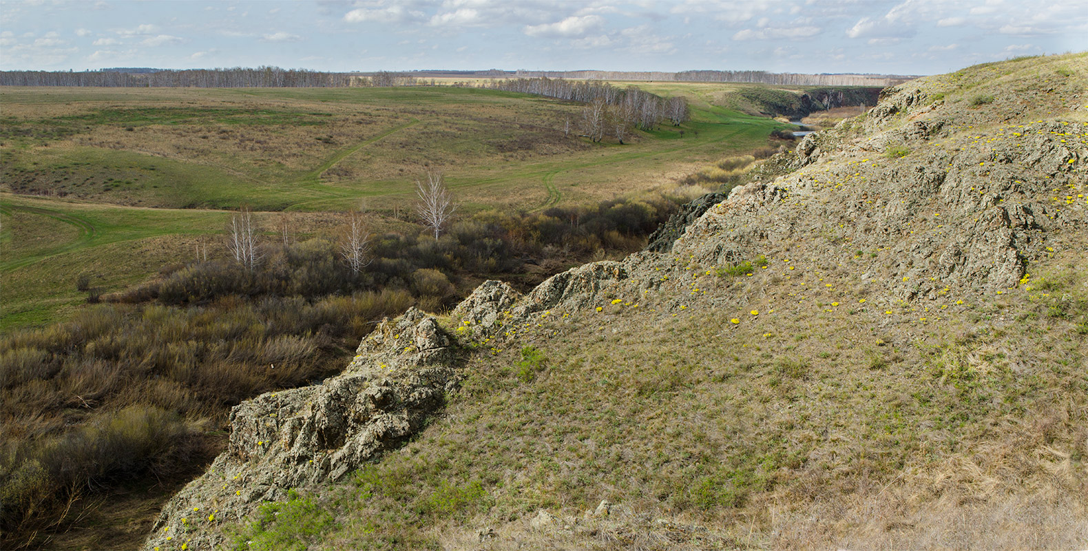 Окрестности Белоключевки, image of landscape/habitat.