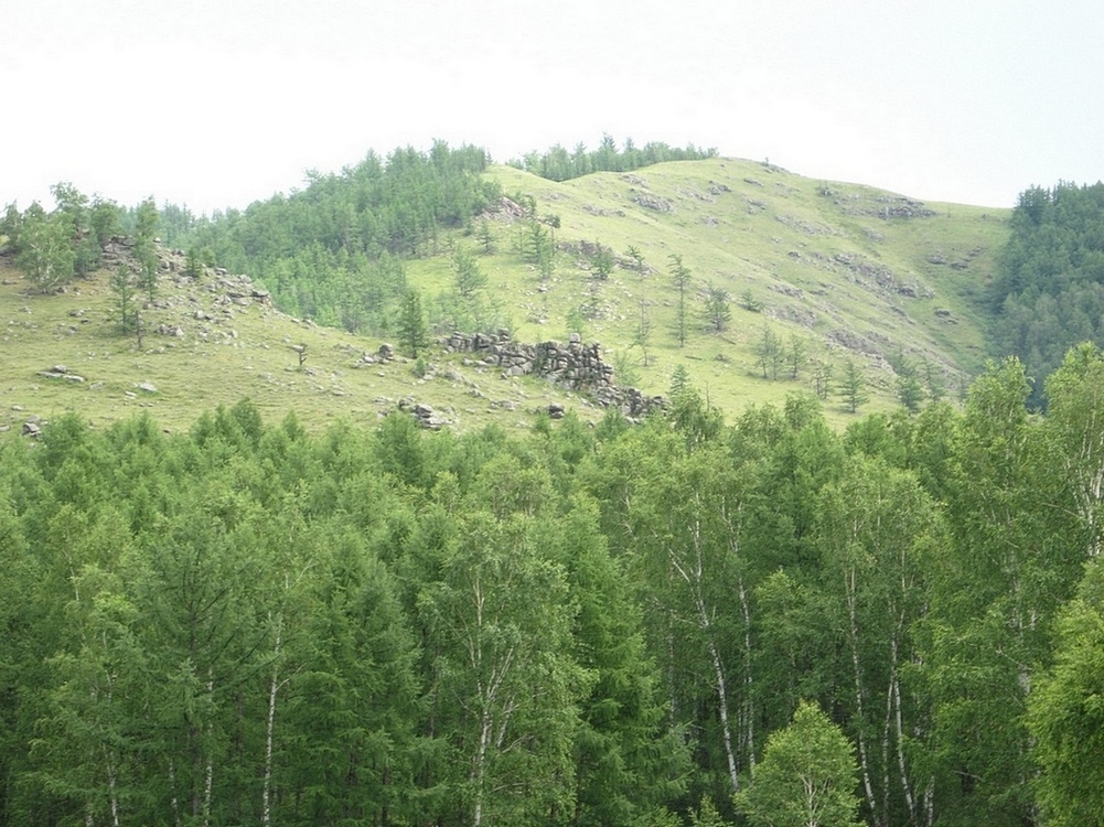 Окрестности Ефремкино, image of landscape/habitat.