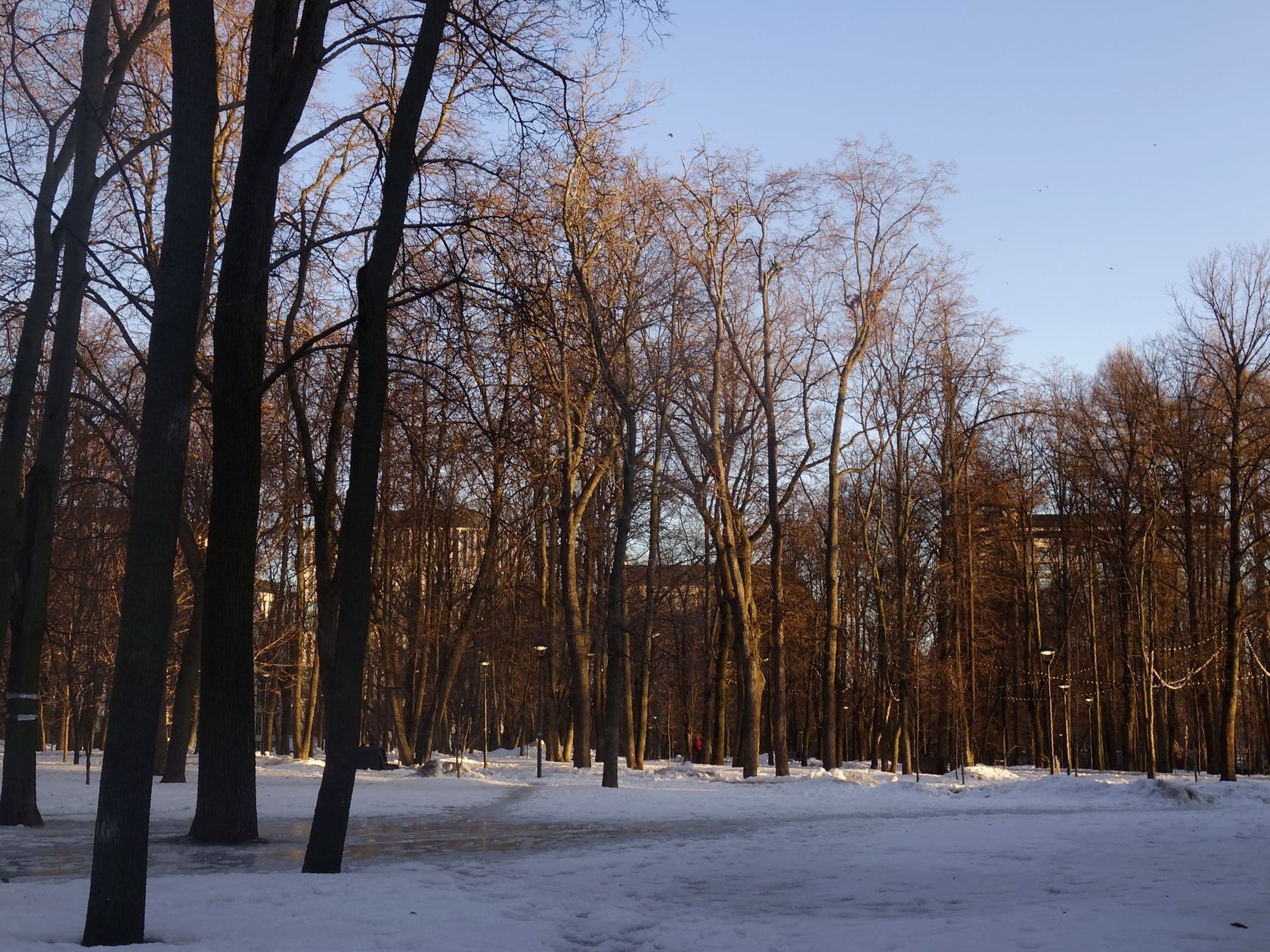 Парк "Динамо", image of landscape/habitat.