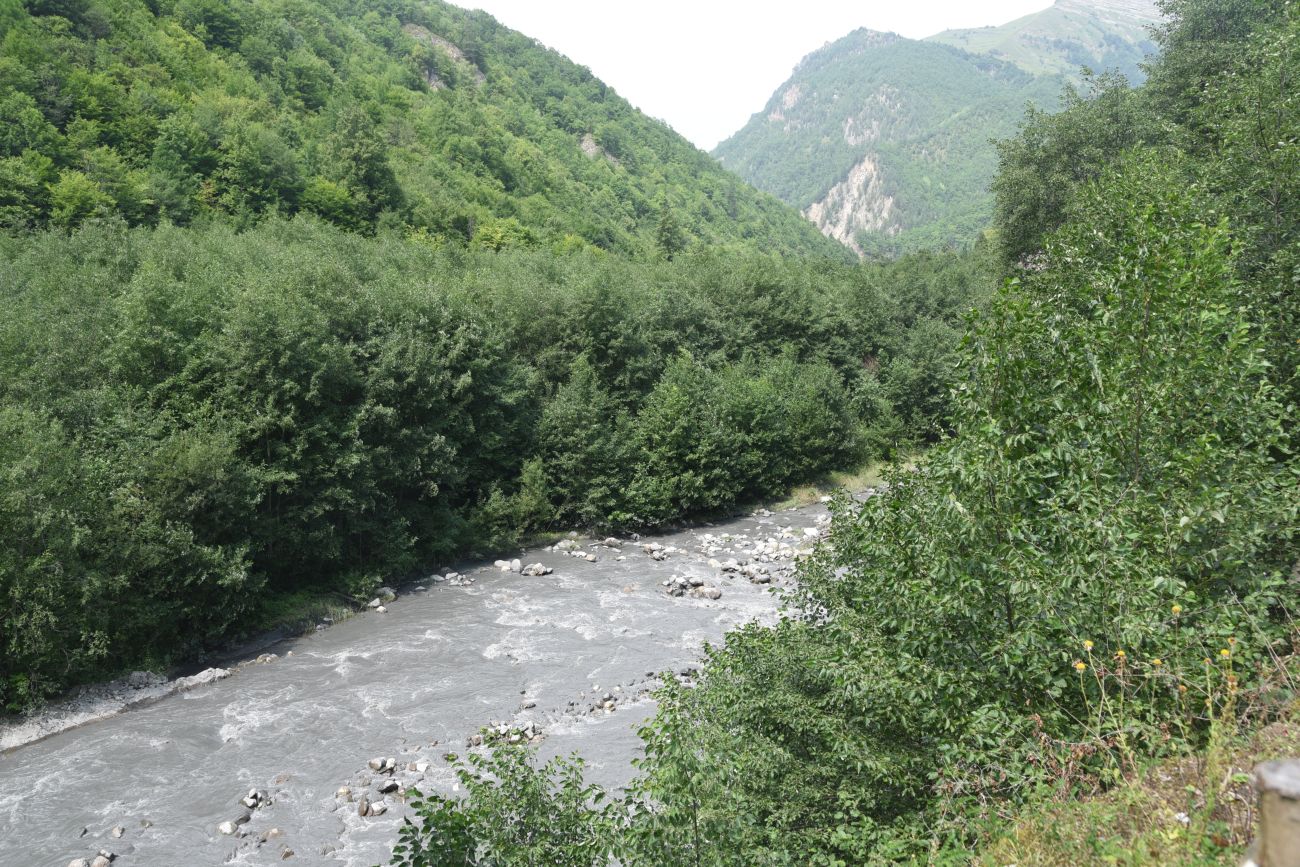 Окрестности Кенсой, изображение ландшафта.