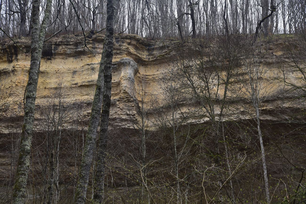 Ущелье Холодного ручья, изображение ландшафта.