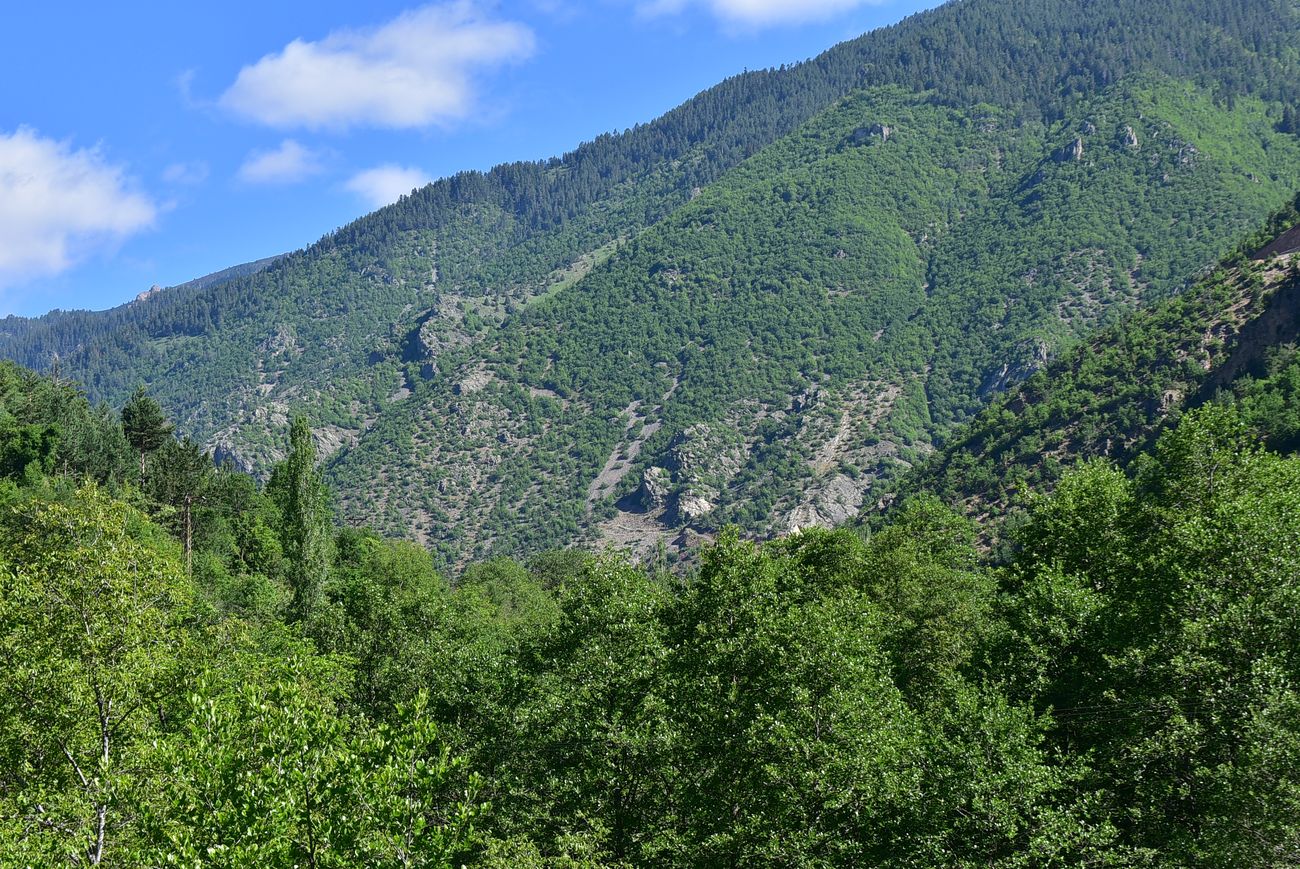 Окрестности храма Отхта, изображение ландшафта.