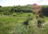 Ерёмкин лог, image of landscape/habitat.
