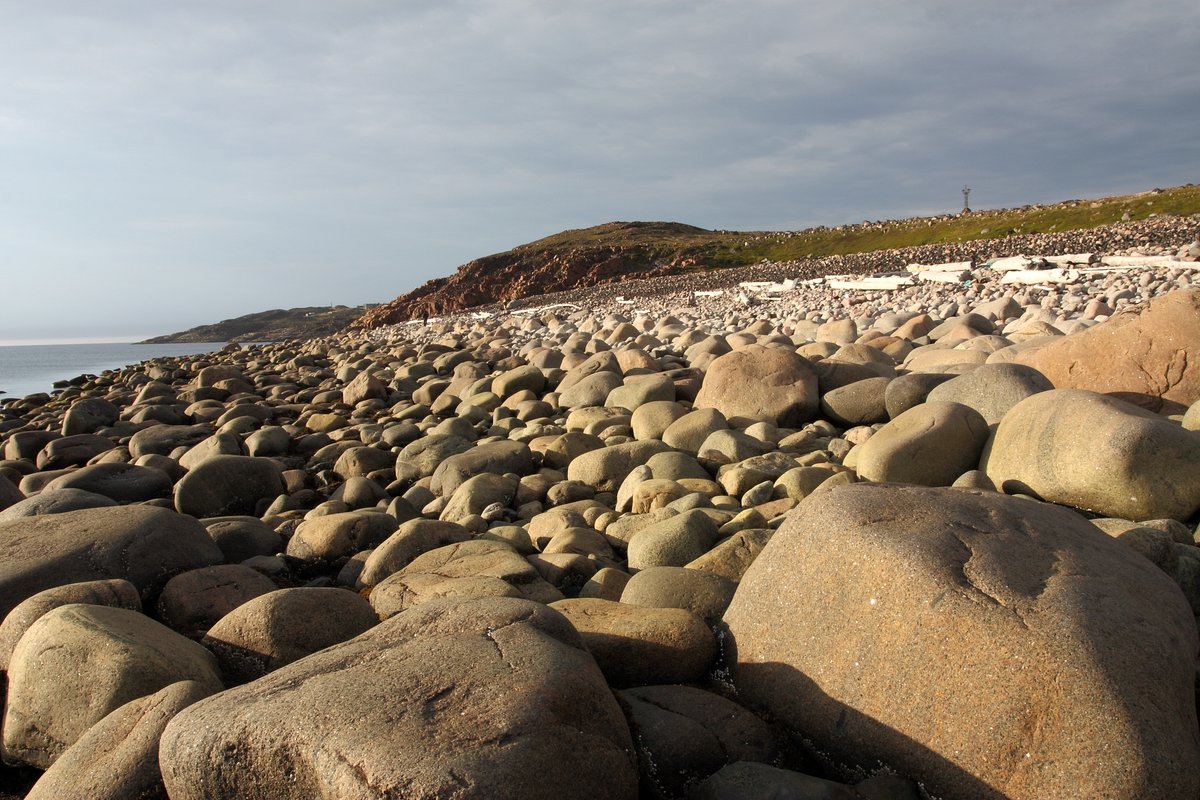 Дальние Зеленцы, image of landscape/habitat.