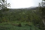 Image of landscape