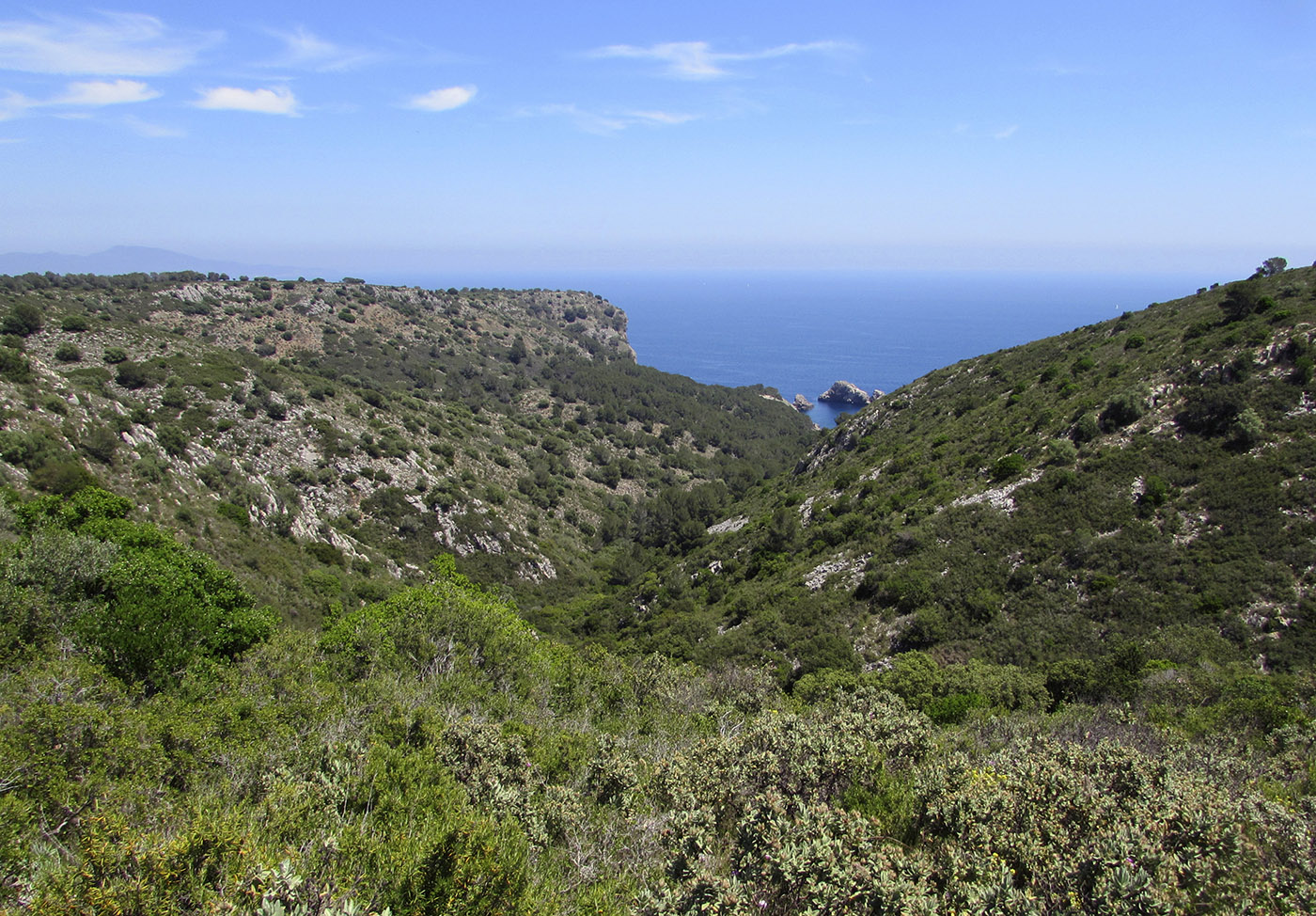 Горный массив Монгри, image of landscape/habitat.