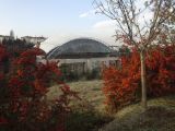 Bilkent University, image of landscape/habitat.