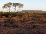 Uluru - Kata Tjuta, изображение ландшафта.