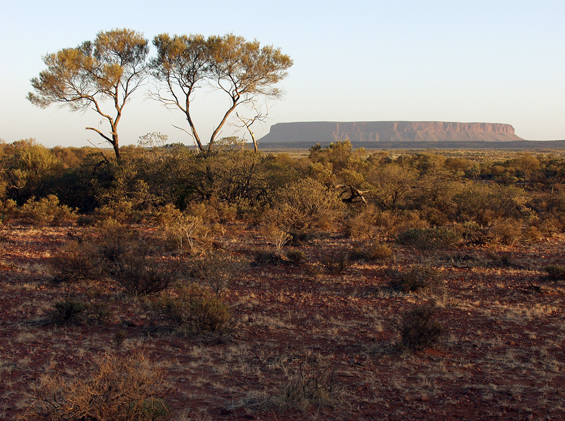 Uluru - Kata Tjuta, image of landscape/habitat.