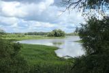 Окрестности музея «Витославлицы», image of landscape/habitat.