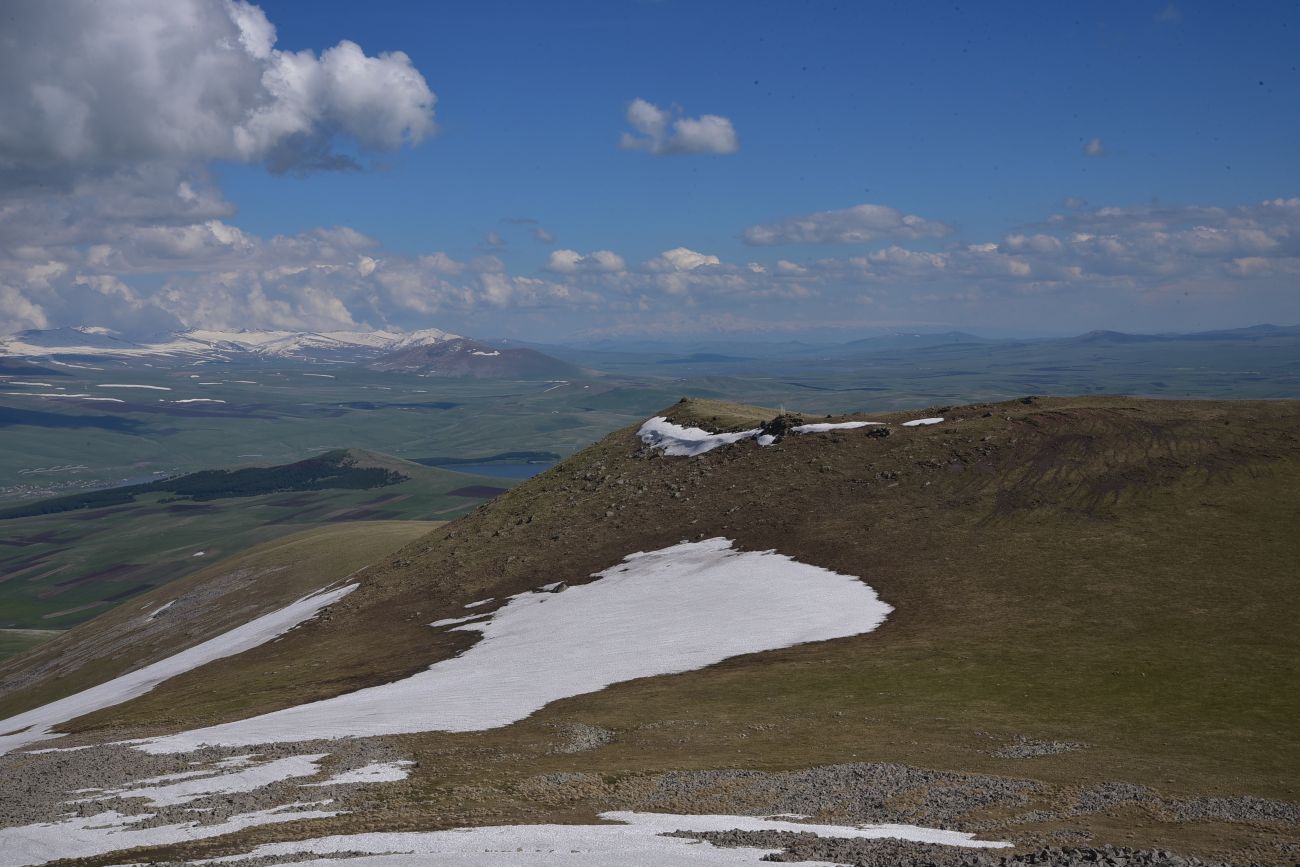 Гора Патара Абули, image of landscape/habitat.